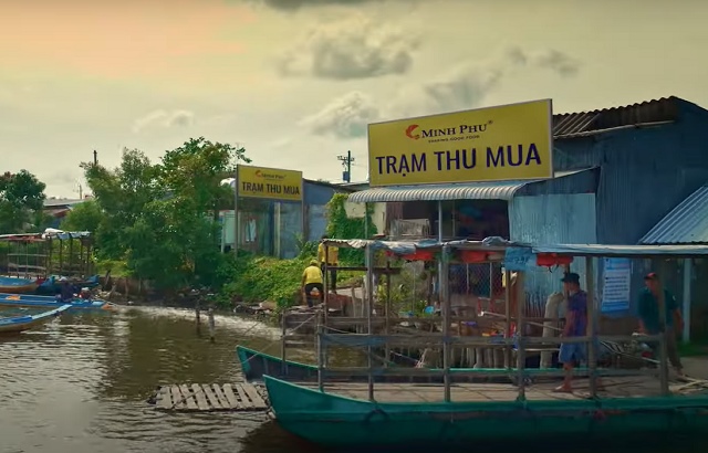 Lãi Minh Phú tăng bằng lần nhưng chỉ như “muối bỏ biển” so với kế hoạch