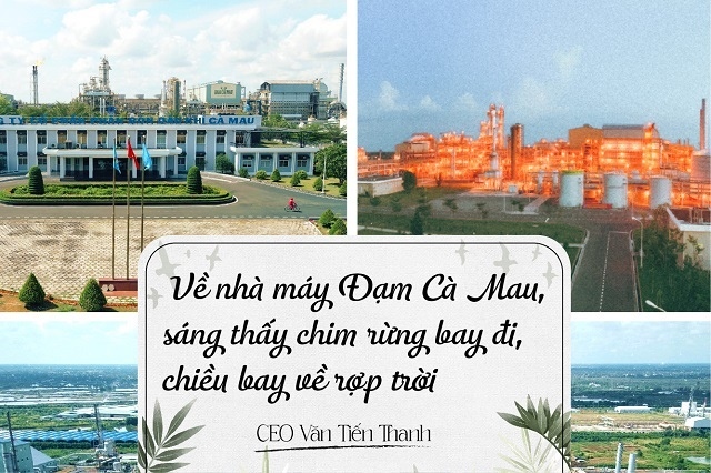 CEO Văn Tiến Thanh: Về nhà máy Đạm Cà Mau, sáng thấy chim rừng bay đi, chiều bay về rợp trời