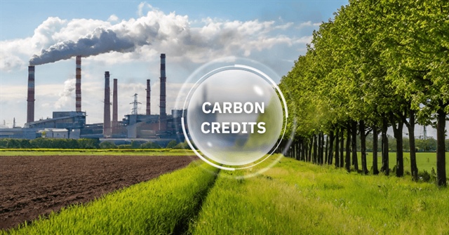 Đối tượng nào được tham gia trao đổi trên thị trường carbon?