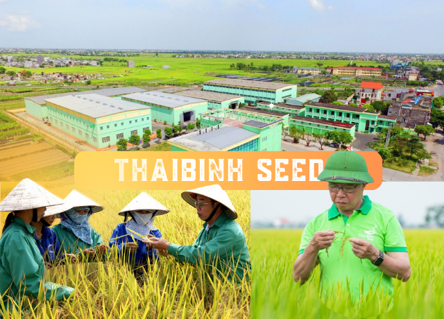 Chân dung Tập đoàn ThaiBinh Seed “lỡ hẹn” giải gạo ngon nhất thế giới