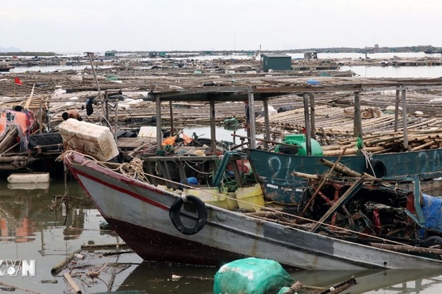 Quảng Ninh: Xem xét hỗ trợ tín dụng cho khách hàng bị thiệt hại do bão số 3