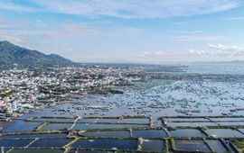 Khánh Hòa sắp có khu đô thị 42 ngàn tỷ ven vịnh Cam Ranh