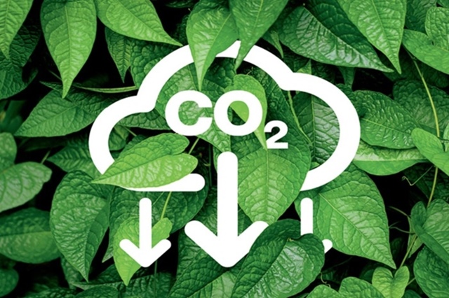 TPHCM có nhiều đặc thù để phát triển thị trường tín chỉ carbon tự nguyện