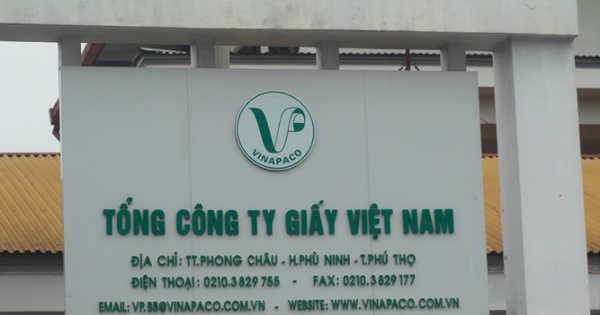 Quyết định thanh tra tại Tổng công ty Giấy Việt Nam